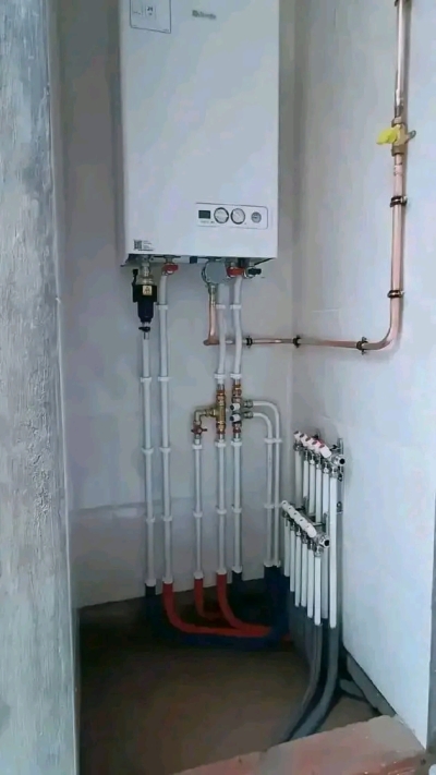 Seif el islam bouzrou